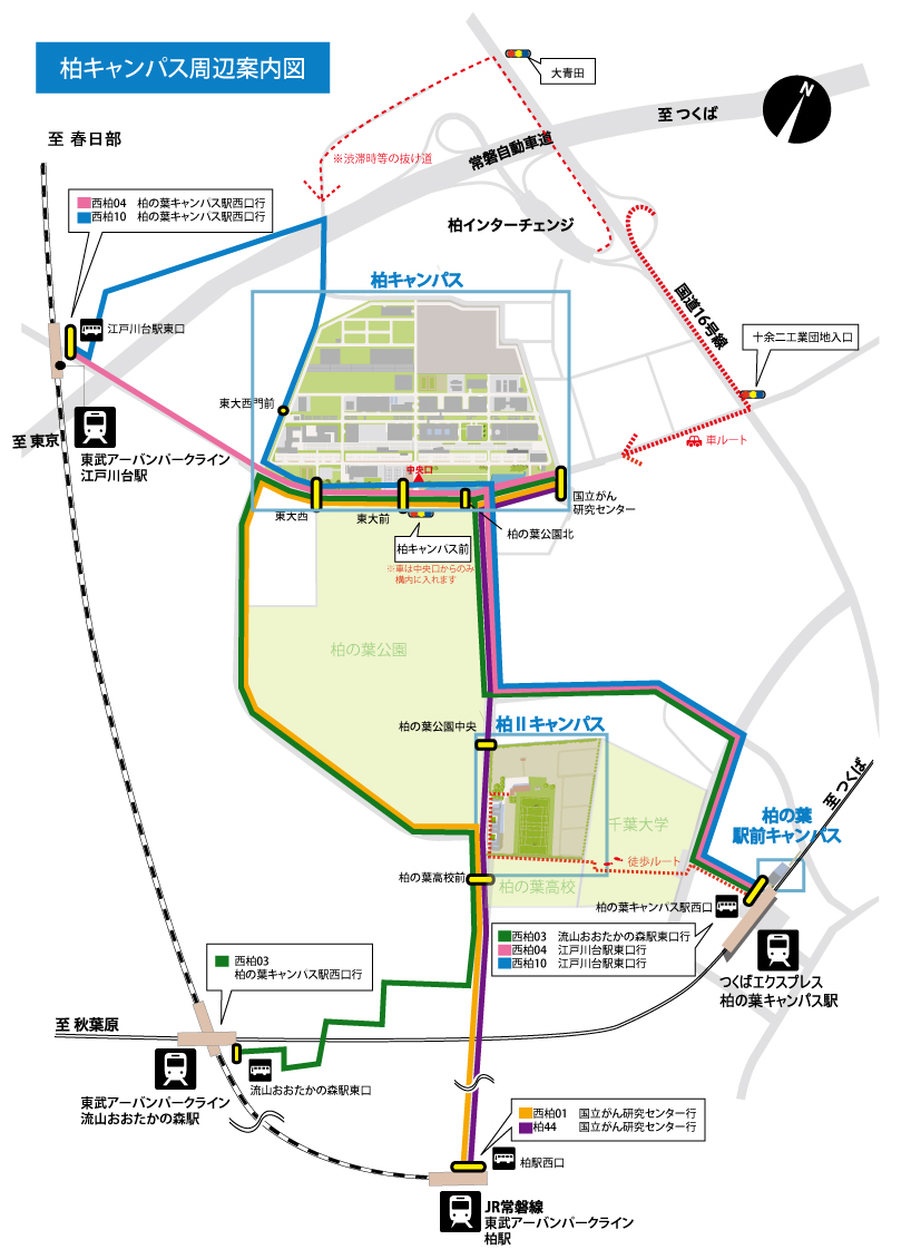 バス路線図