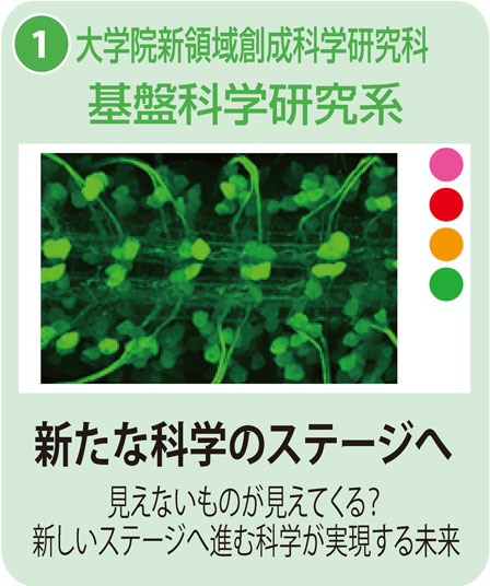 新領域基盤科学研究系